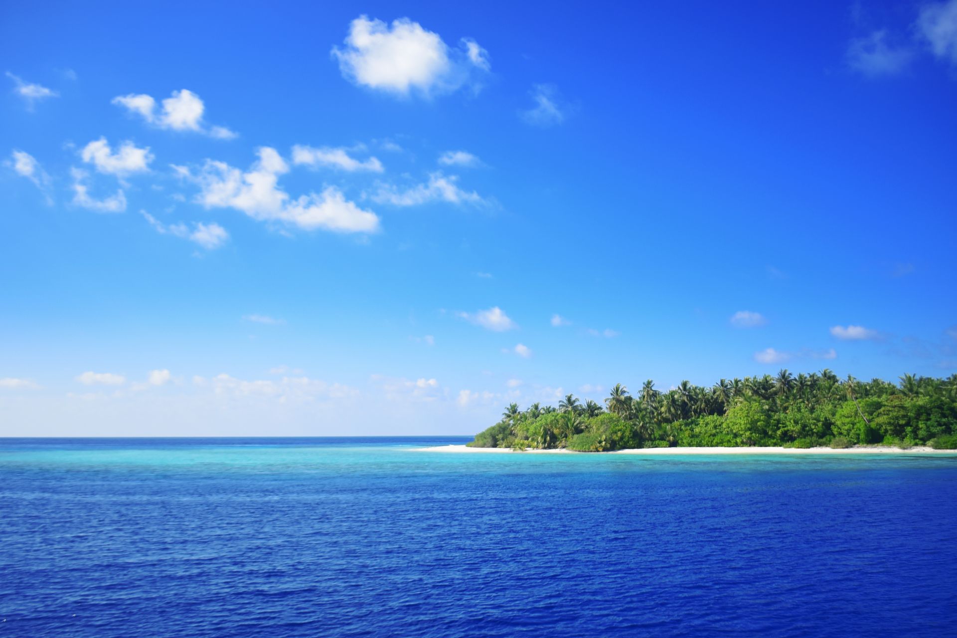 A palm-covered island fringed with white sand across deep blue water under a bright sky