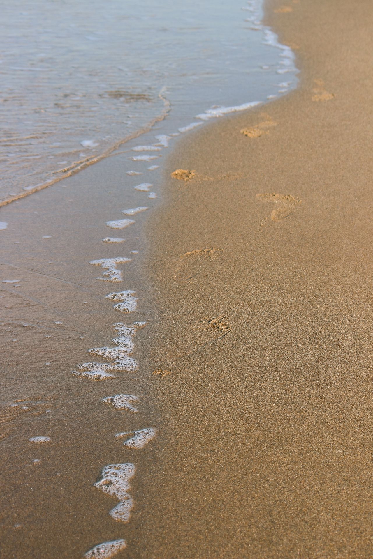 Footprints in the sand along the water's edge as a gentle wave runs up the shore