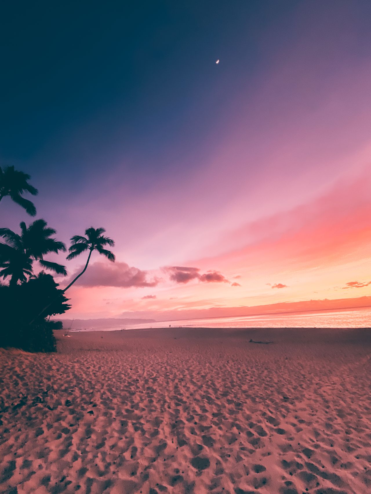 Palm trees and a quiet beach under a pink and violet dusk sky with a rising moon